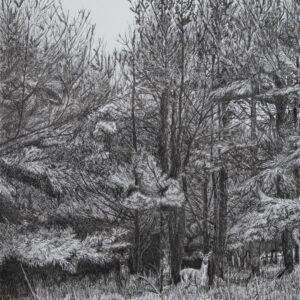 A drawing of a deer in the woods.