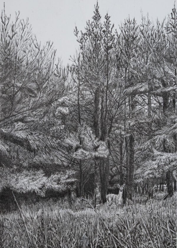 A drawing of a deer in the woods.