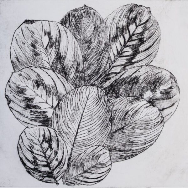 A print of layered, rounded leaves.
