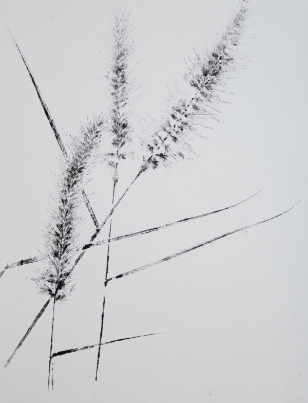 Print of two stalks of wild grass.