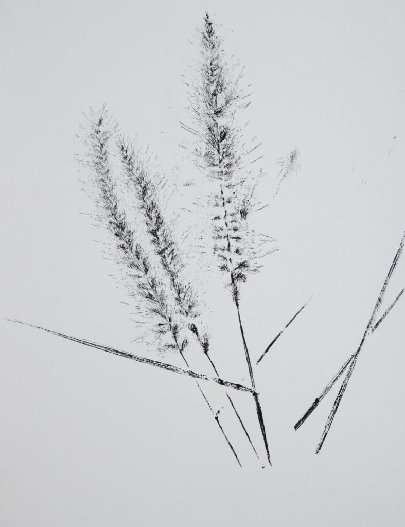 A monotype print of Wild Grass.